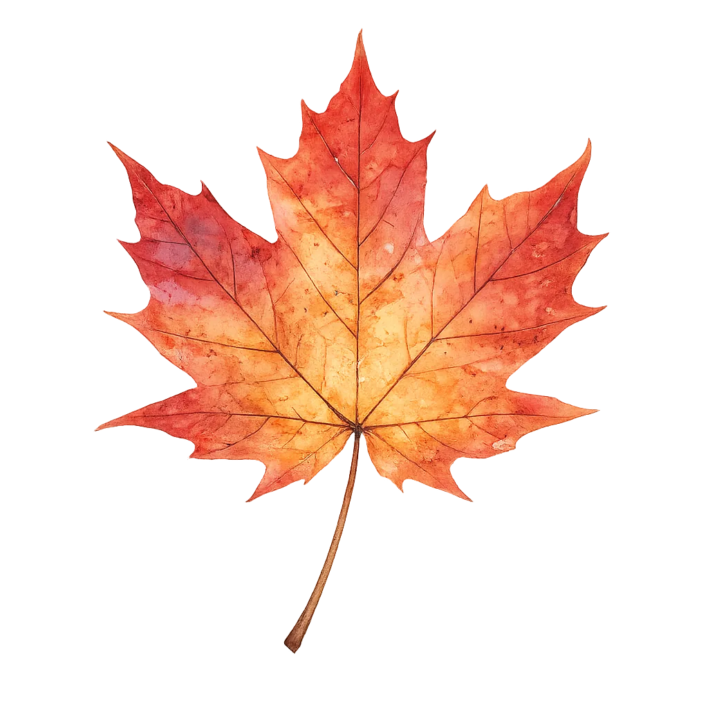 Autumn Maple Leaf Transparent PNG