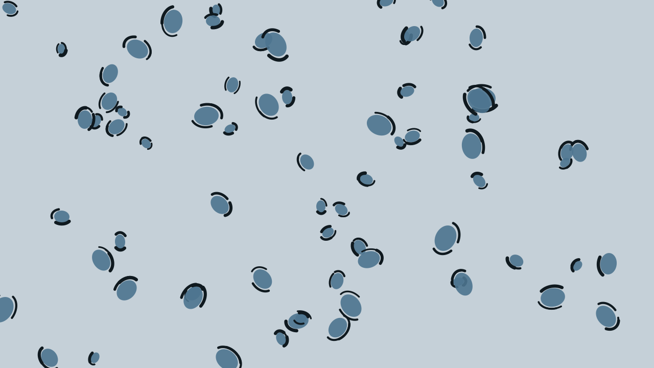 Air Force Blue leopard print background — free HD air force blue color wallpaper 1920x1080