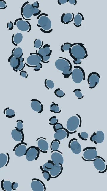 Air Force Blue leopard phone wallpaper — free HD air force blue mobile wallpaper 1080x1920