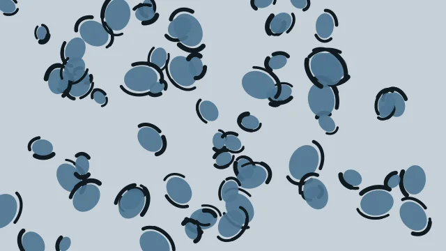 Air Force Blue leopard print background — free HD air force blue color wallpaper 1920x1080