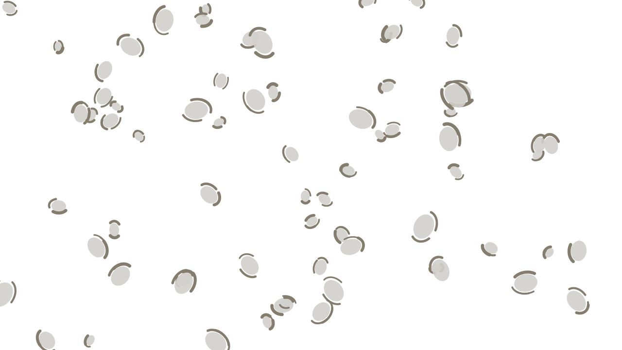 Alabaster Grey leopard print background — free HD alabaster grey color wallpaper 1920x1080