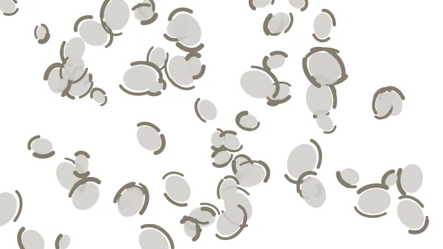 Alabaster Grey leopard print background — free HD alabaster grey color wallpaper 1920x1080