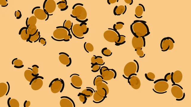 Amber Earth leopard print background — free HD amber earth color wallpaper 1920x1080