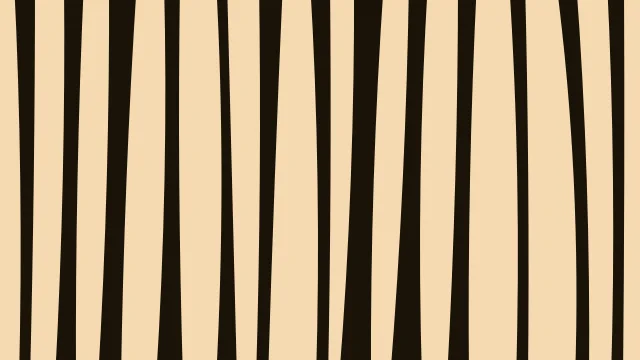 Amber Earth zebra print background — free HD amber earth color wallpaper 1920x1080