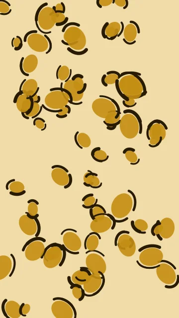 Amber Honey leopard phone wallpaper — free HD amber honey mobile wallpaper 1080x1920