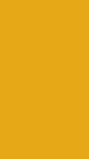 Amber Honey solid phone wallpaper — free HD amber honey mobile wallpaper 1080x1920