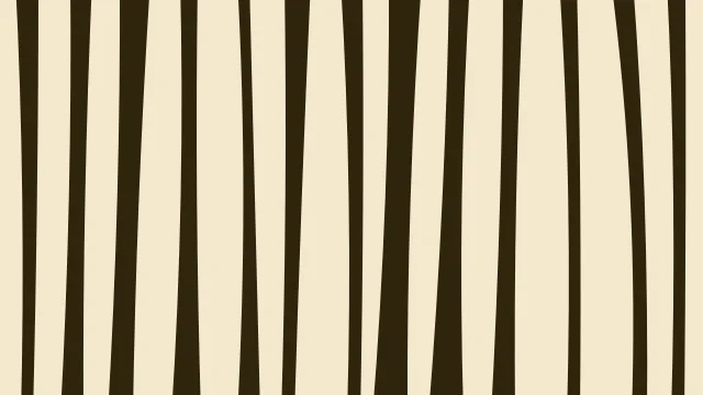 Amber Honey zebra desktop wallpaper — free 4K amber honey wallpaper 3840x2160