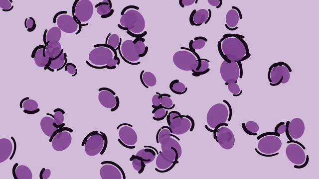 Amethyst leopard print background — free HD amethyst color wallpaper 1920x1080