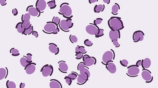 Amethyst Smoke leopard print background — free HD amethyst smoke color wallpaper 1920x1080