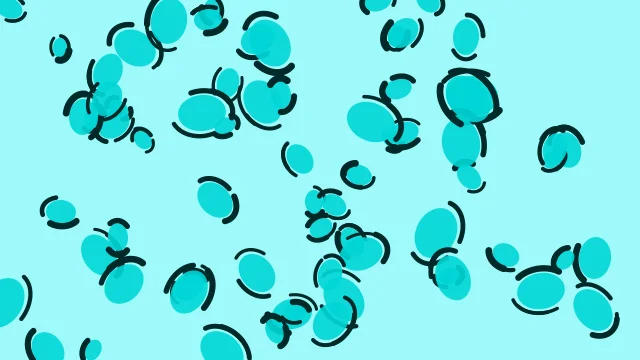 Aqua leopard print background — free HD aqua color wallpaper 1920x1080