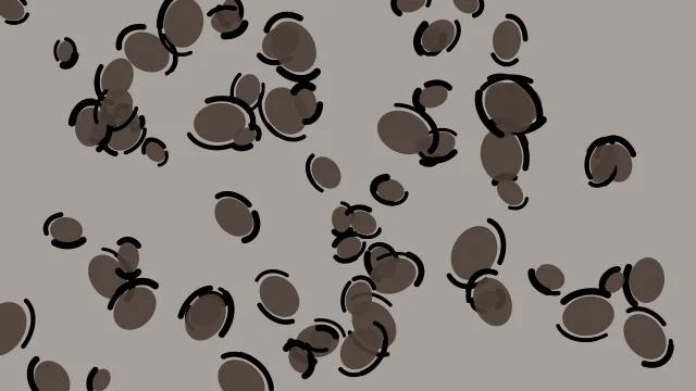 Ash Brown leopard print background — free HD ash brown color wallpaper 1920x1080