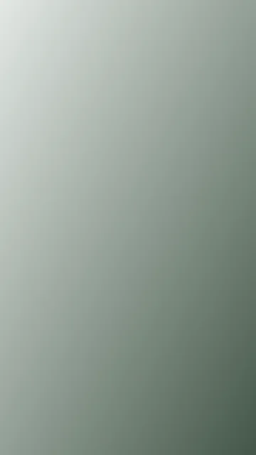Ash Grey gradient phone wallpaper — free HD ash grey mobile wallpaper 1080x1920