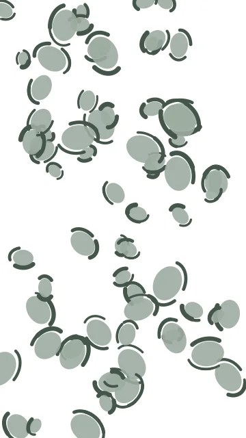 Ash Grey leopard phone wallpaper — free HD ash grey mobile wallpaper 1080x1920