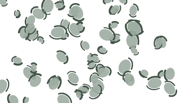 Ash Grey leopard desktop wallpaper — free 4K ash grey wallpaper 3840x2160