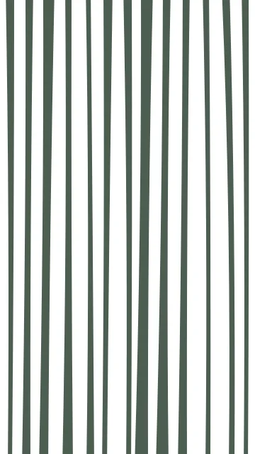 Ash Grey zebra phone wallpaper — free HD ash grey mobile wallpaper 1080x1920