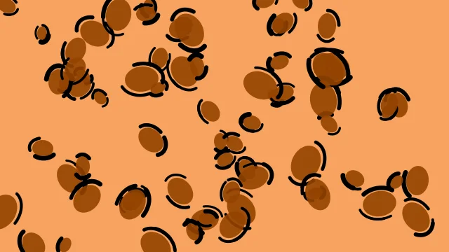 Autumn Ember leopard print background — free HD autumn ember color wallpaper 1920x1080