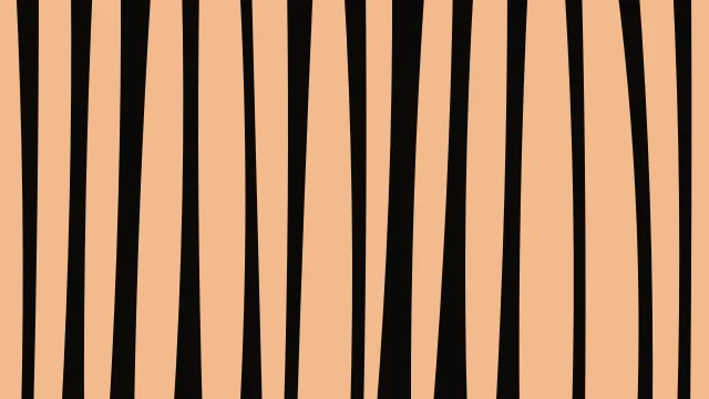 Autumn Ember zebra print background — free HD autumn ember color wallpaper 1920x1080