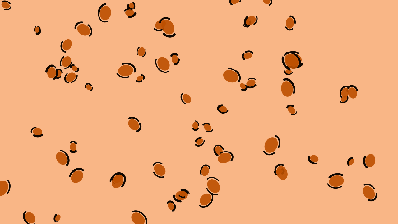 Autumn Leaf leopard print background — free HD autumn leaf color wallpaper 1920x1080