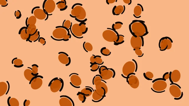 Autumn Leaf leopard desktop wallpaper — free 4K autumn leaf wallpaper 3840x2160
