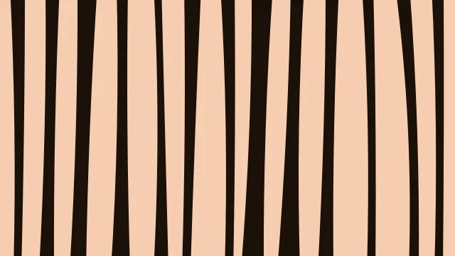 Autumn Leaf zebra desktop wallpaper — free 4K autumn leaf wallpaper 3840x2160