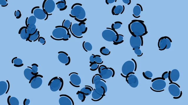 Azure 500 leopard desktop wallpaper — free 4K azure 500 wallpaper 3840x2160