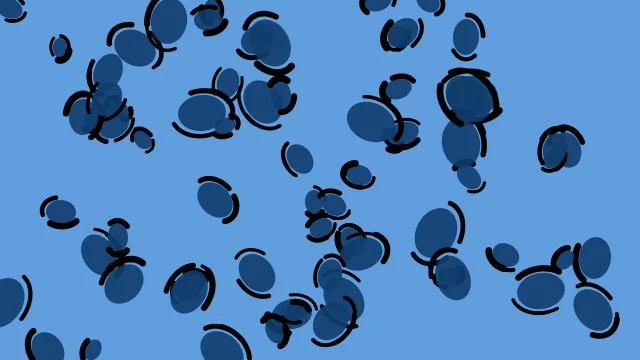 Azure 600 leopard desktop wallpaper — free 4K azure 600 wallpaper 3840x2160