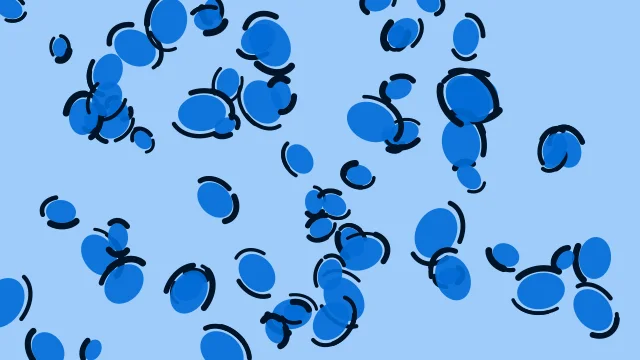 Azure Blue leopard print background — free HD azure blue color wallpaper 1920x1080