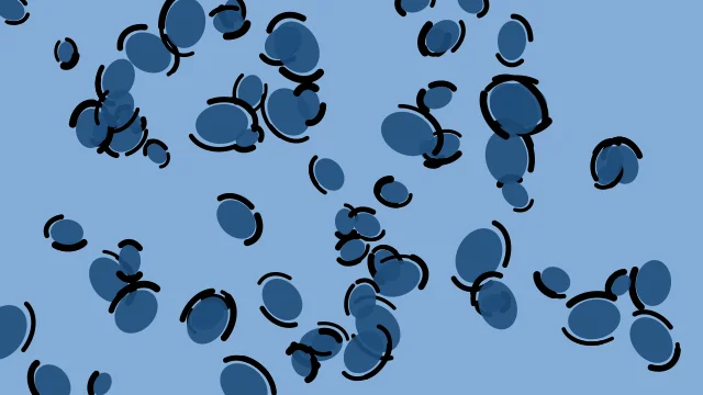 Baltic Blue leopard print background — free HD baltic blue color wallpaper 1920x1080