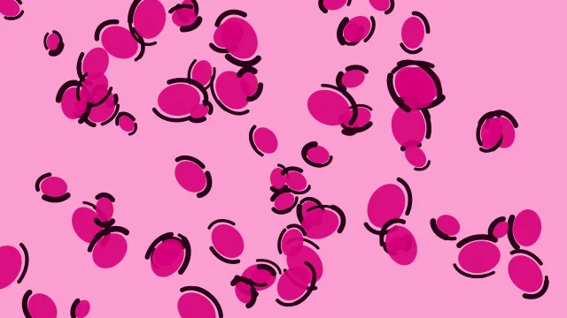 Barbie Pink leopard print background — free HD barbie pink color wallpaper 1920x1080
