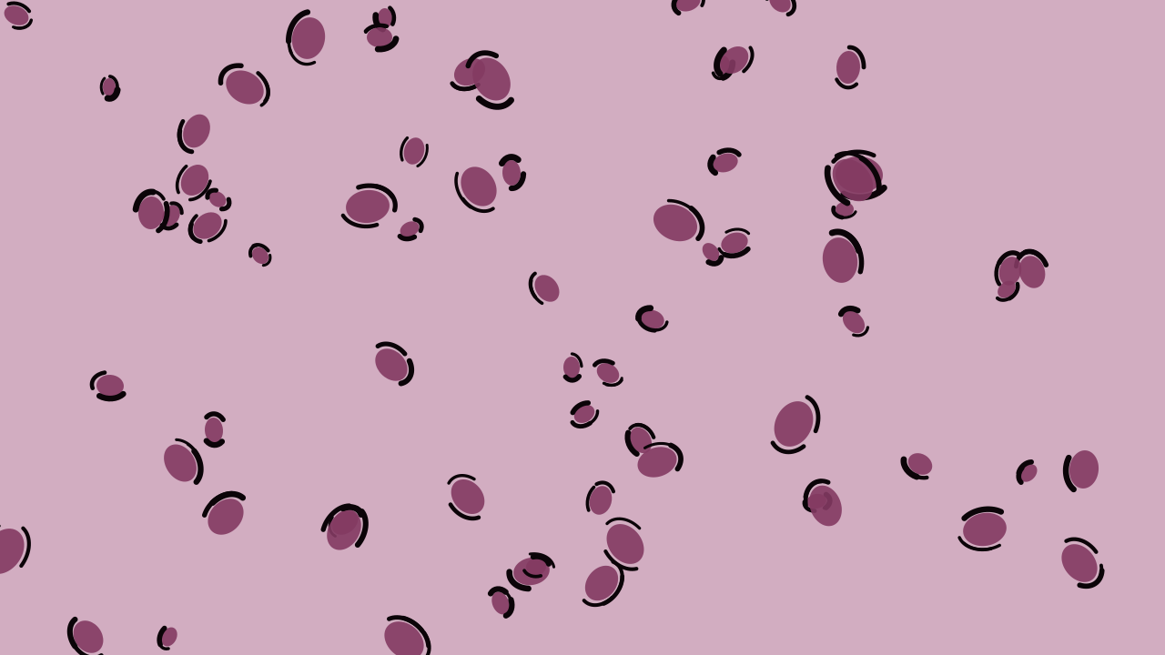 Berry Blush leopard print background — free HD berry blush color wallpaper 1920x1080