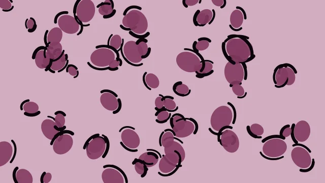 Berry Blush leopard print background — free HD berry blush color wallpaper 1920x1080