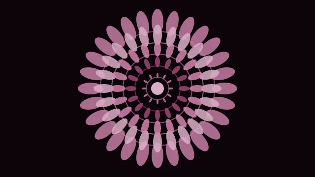 Berry Blush mandala background — free HD berry blush color wallpaper 1920x1080