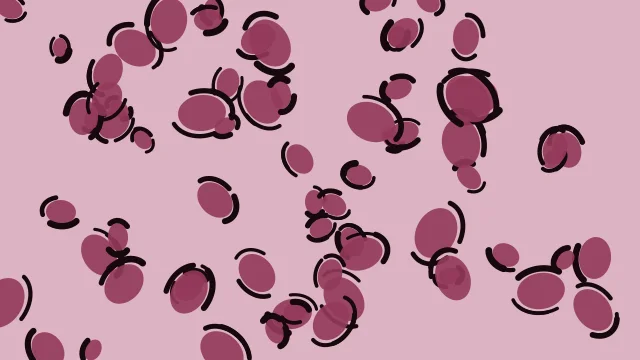 Berry Crush leopard desktop wallpaper — free 4K berry crush wallpaper 3840x2160