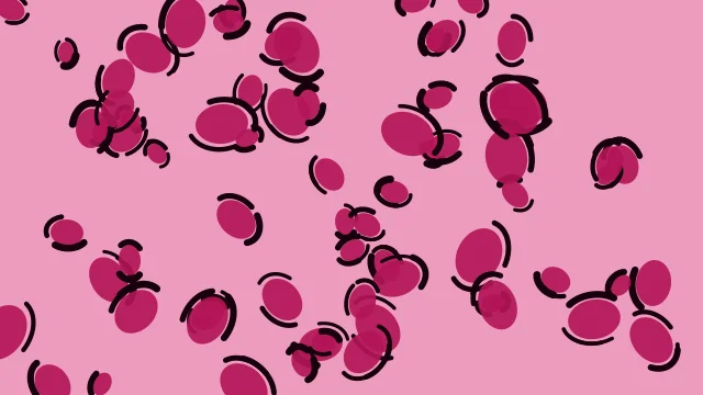 Berry Lipstick leopard print background — free HD berry lipstick color wallpaper 1920x1080