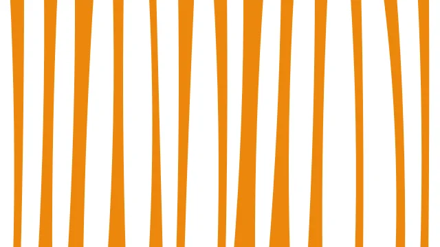 Bisque zebra print background — free HD bisque color wallpaper 1920x1080