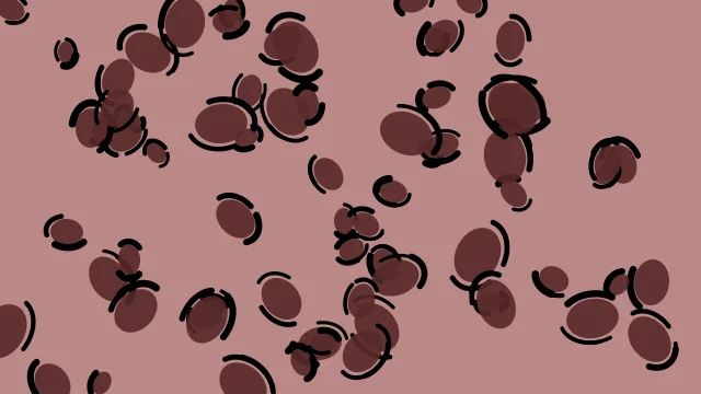 Bitter Chocolate leopard desktop wallpaper — free 4K bitter chocolate wallpaper 3840x2160