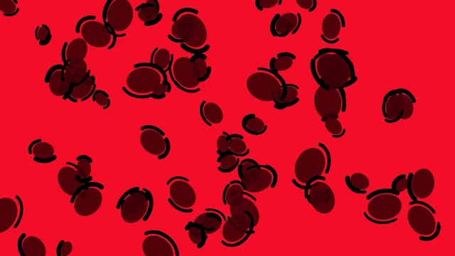 Black Cherry leopard print background — free HD black cherry color wallpaper 1920x1080
