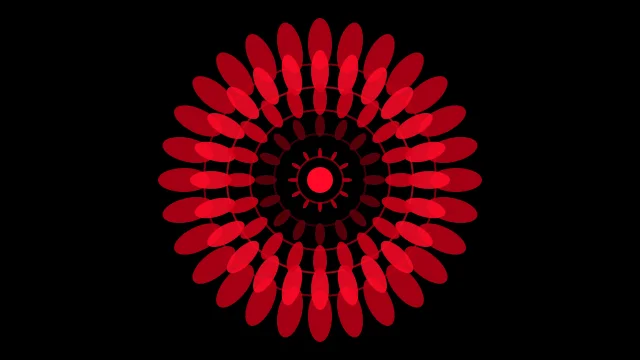 Black Cherry mandala background — free HD black cherry color wallpaper 1920x1080