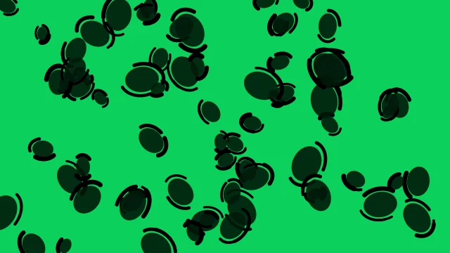 Black Forest leopard print background — free HD black forest color wallpaper 1920x1080