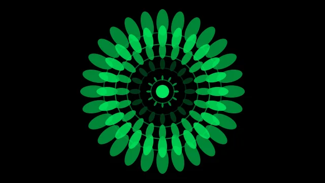 Black Forest mandala background — free HD black forest color wallpaper 1920x1080