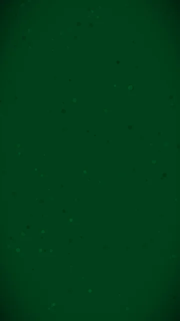 Black Forest texture phone wallpaper — free HD black forest mobile wallpaper 1080x1920
