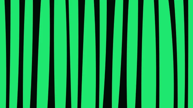 Black Forest zebra print background — free HD black forest color wallpaper 1920x1080