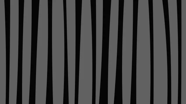 Black zebra print background — free HD black color wallpaper 1920x1080