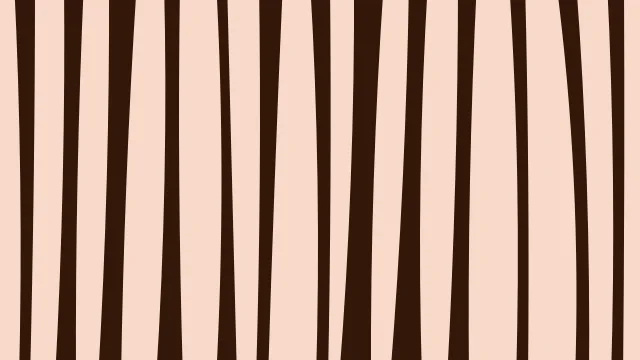 Blaze Orange zebra print background — free HD blaze orange color wallpaper 1920x1080