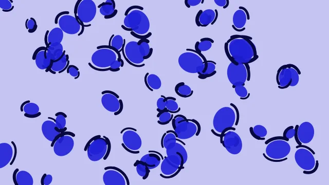 Blue 400 leopard desktop wallpaper — free 4K blue 400 wallpaper 3840x2160