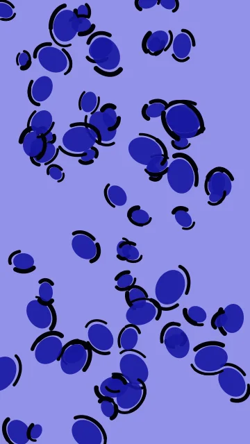 Blue 500 leopard phone wallpaper — free HD blue 500 mobile wallpaper 1080x1920