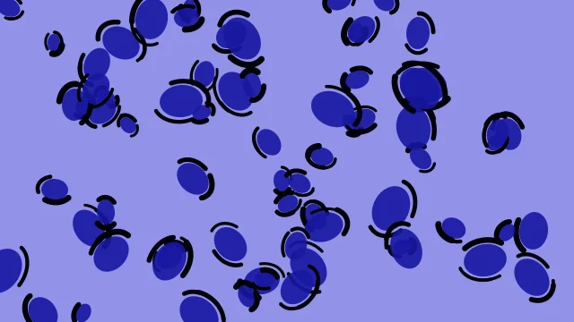 Blue 500 leopard desktop wallpaper — free 4K blue 500 wallpaper 3840x2160