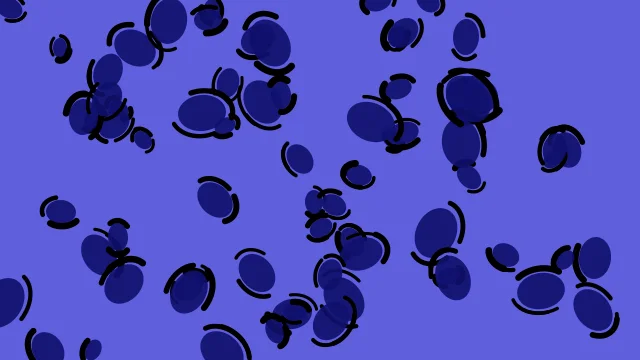 Blue 600 leopard desktop wallpaper — free 4K blue 600 wallpaper 3840x2160