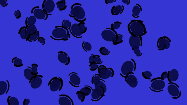 Blue 700 leopard desktop wallpaper — free 4K blue 700 wallpaper 3840x2160