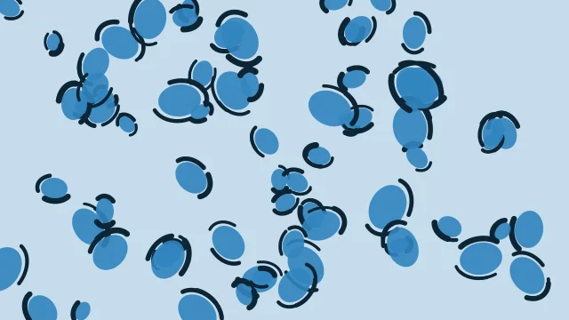 Blue Bell leopard print background — free HD blue bell color wallpaper 1920x1080